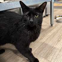 Thumbnail photo of Ferg Fetty Wap #4