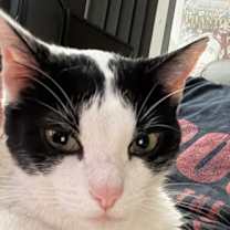 Thumbnail photo of Max XVIII (New Digs) #1