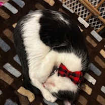 Thumbnail photo of Case #3