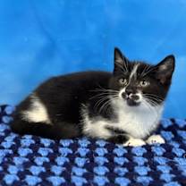 Thumbnail photo of Isadora #1