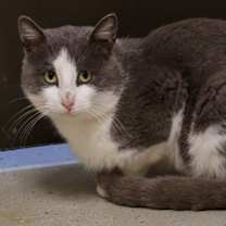 Thumbnail photo of Aspen #2