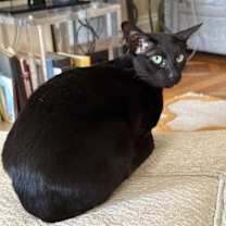 Thumbnail photo of Lady #1