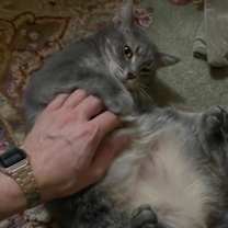 Thumbnail photo of Hildagarde #4