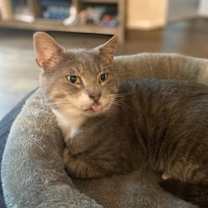 Thumbnail photo of Willy James #2