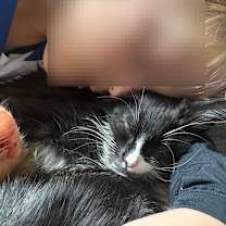 Thumbnail photo of Banks #3