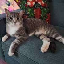 Thumbnail photo of Bud #2