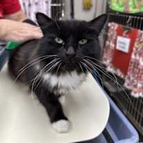 Thumbnail photo of Marge (mcas) #3