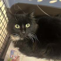 Thumbnail photo of Marge (mcas) #4