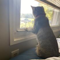 Thumbnail photo of Grace #3