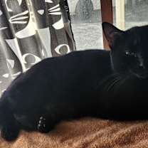 Thumbnail photo of Spot #3