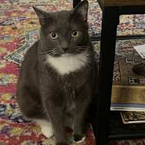 Thumbnail photo of Gunther #1