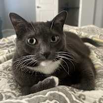 Thumbnail photo of Gunther #2