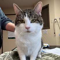 Thumbnail photo of Fluke - Shy lovebug🥰  #2