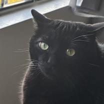 Thumbnail photo of Jack #2