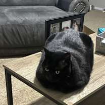 Thumbnail photo of Jack #3