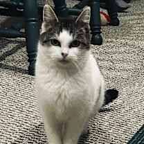 Thumbnail photo of Bugs #2