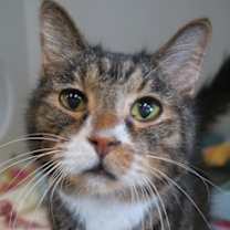 Thumbnail photo of Jasper #1