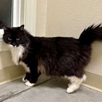 Thumbnail photo of Prince #1