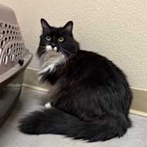 Thumbnail photo of Prince #2