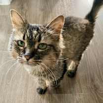 Thumbnail photo of Charlotte #3