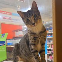 Thumbnail photo of Finn #4