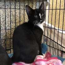 Thumbnail photo of JR #1