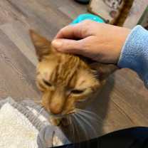 Thumbnail photo of Spice #2