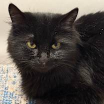 Thumbnail photo of Miss Teri #3