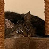 Thumbnail photo of Vida #4