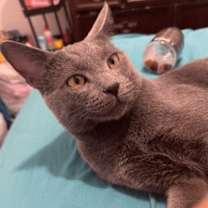 Thumbnail photo of LuLu #2