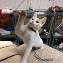 Thumbnail photo of Annabelle #3