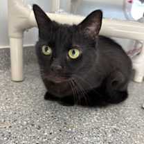 Thumbnail photo of Love #2