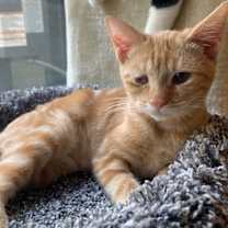 Thumbnail photo of Ember (0515) #1