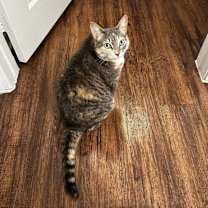 Thumbnail photo of Mona #1