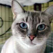 Thumbnail photo of Basilio #1