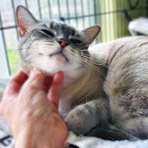 Thumbnail photo of Basilio #3