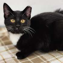 Thumbnail photo of Diego Rivera #2