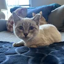 Thumbnail photo of Sam #4