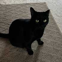 Thumbnail photo of Winnie #4