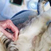 Thumbnail photo of Priya (and Preston) #1