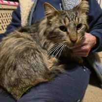 Thumbnail photo of Mihai #1