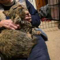 Thumbnail photo of Mihai #3