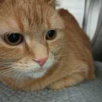 Thumbnail photo of Tiny #2