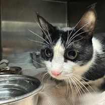 Thumbnail photo of Zac #3