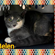 Thumbnail photo of Belen NB #1
