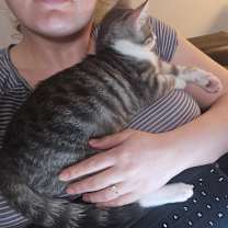 Thumbnail photo of Skylar #4