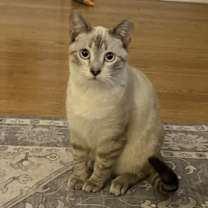 Thumbnail photo of Harvey #1