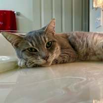 Thumbnail photo of Carole King #1