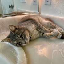 Thumbnail photo of Carole King #2