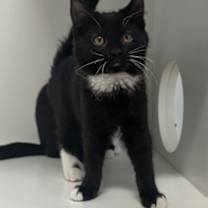 Thumbnail photo of Fredrika #2